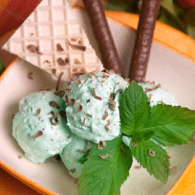 Mint Choc Ice Cream